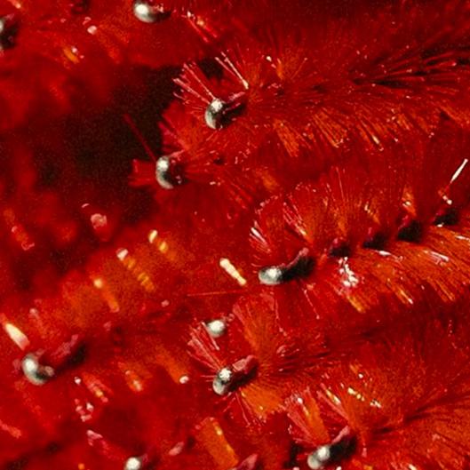 Buy 4 Get 1 Free LASH LIFT w/ Tint